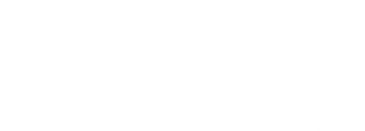 light logo